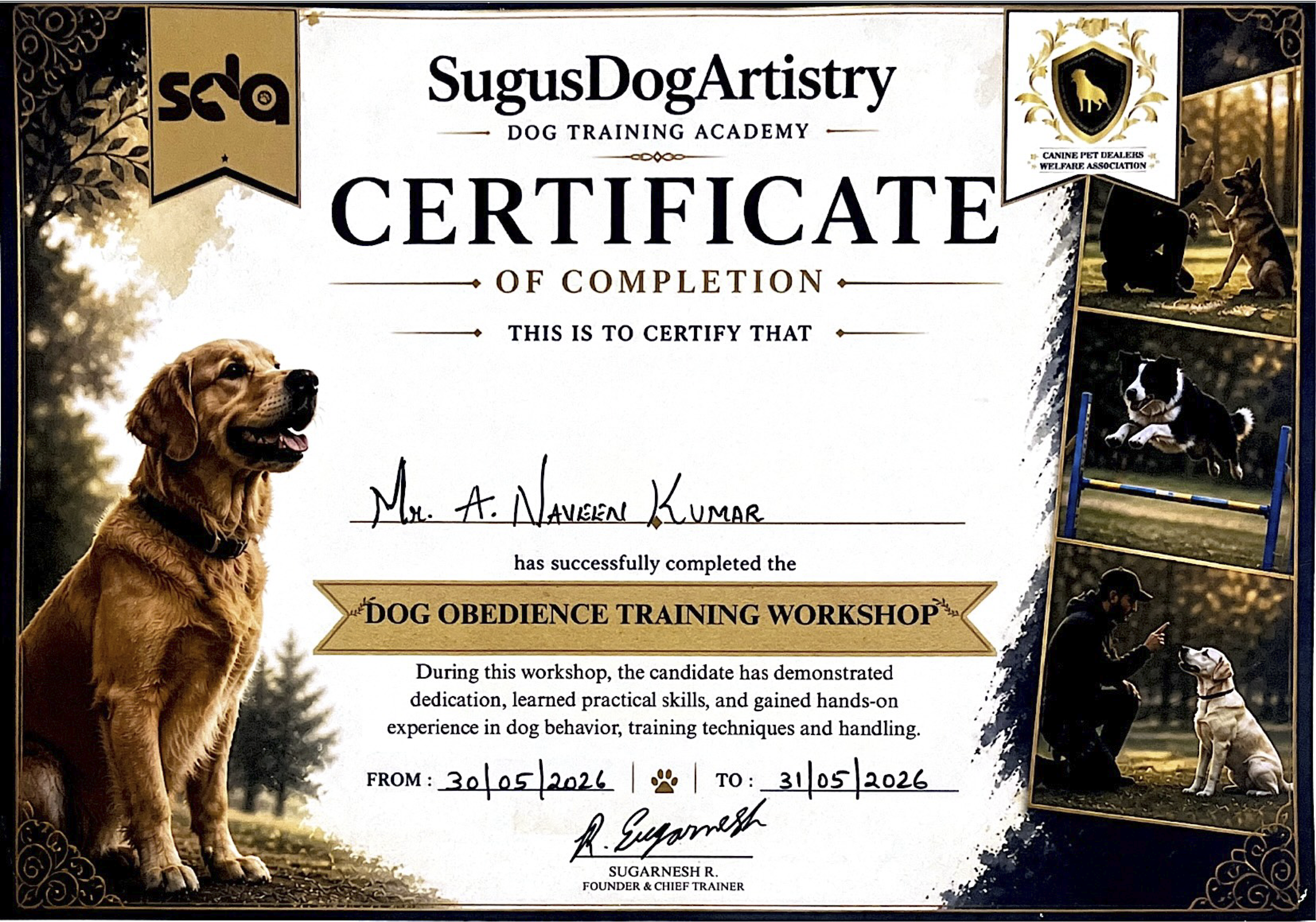 Professional Training Certification 2